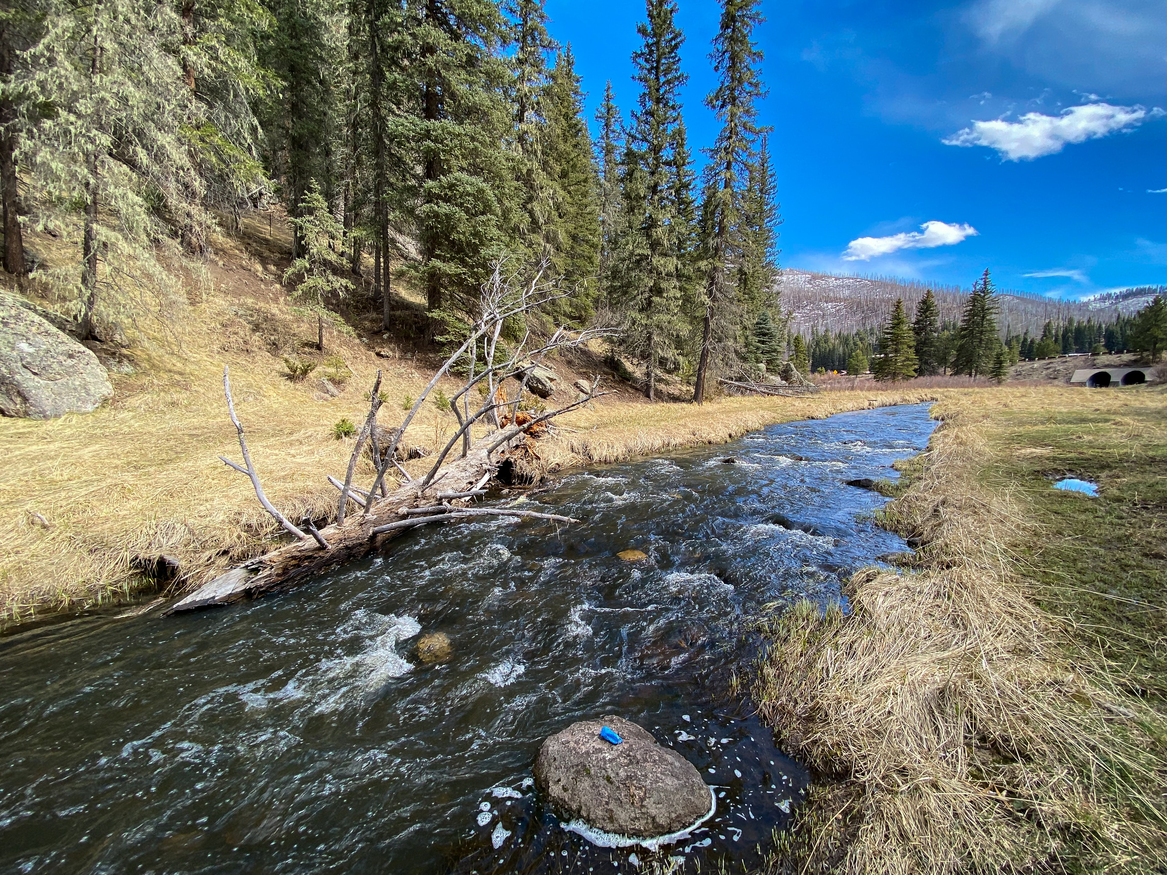 New Mexico mountain hiking trails